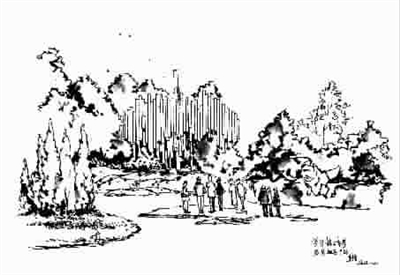 p1_b.jpg