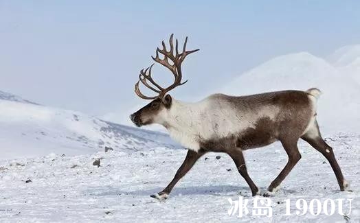 微信图片_20181121124957.jpg