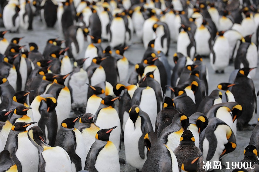 24-things-not-to-do-in-iceland-20.jpg