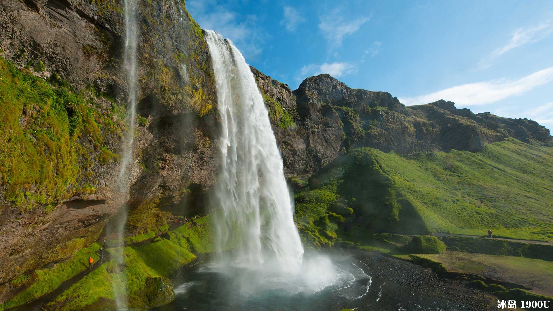 seljalandsfoss_waterfall_summer.jpg