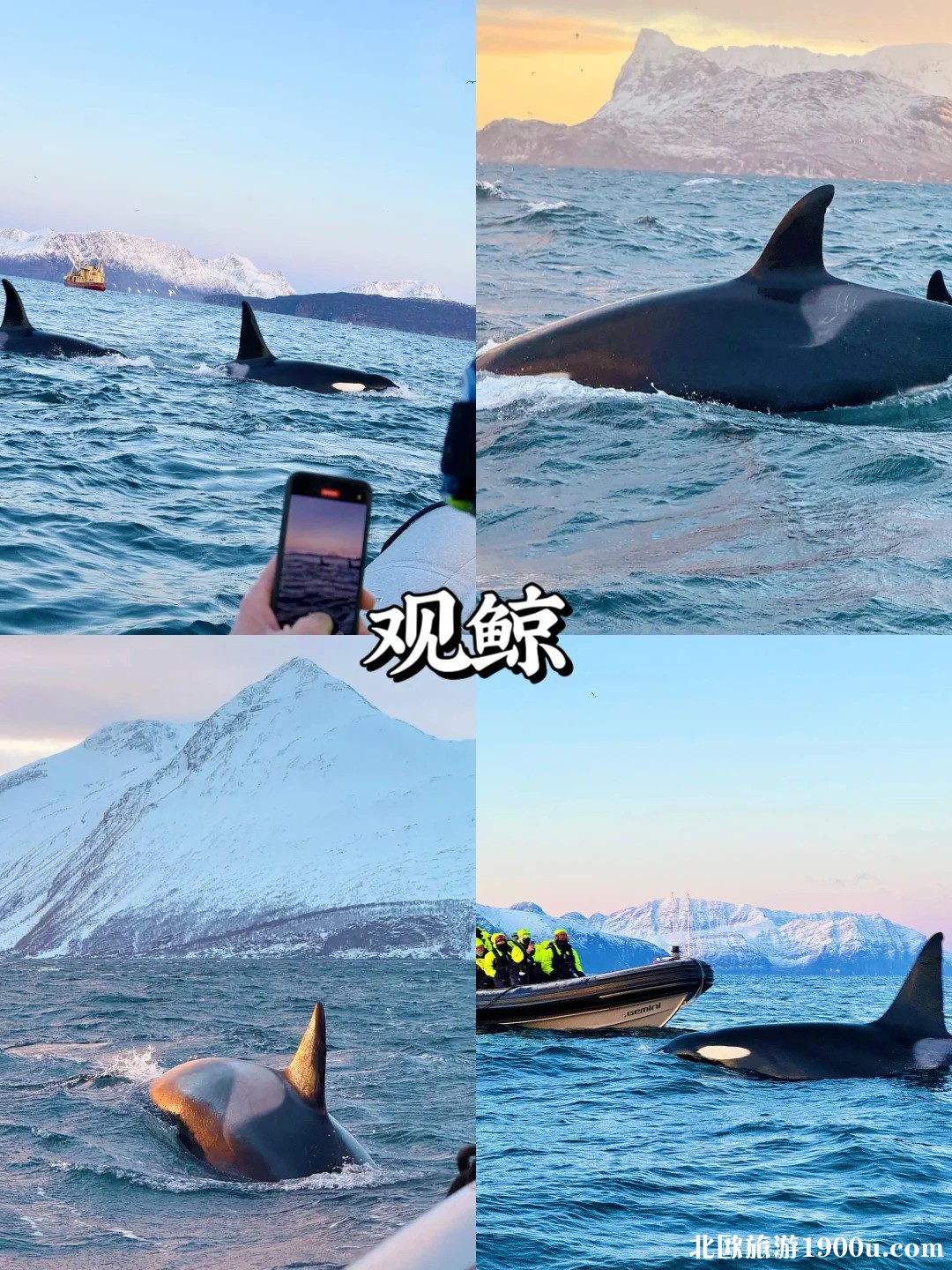 北欧极光定制💫挪威 芬兰双国游！_4_.jpg