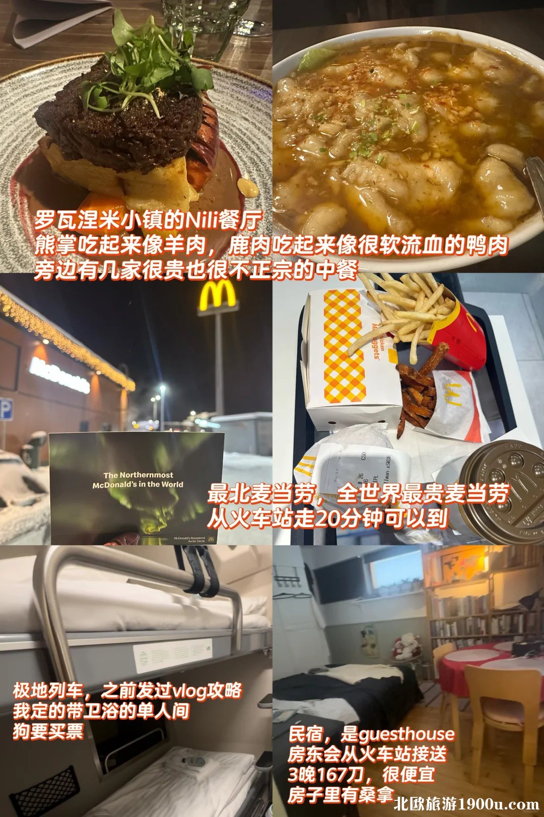 北欧4国旅游攻略🧊一个人带猫狗去北极_14_.jpg