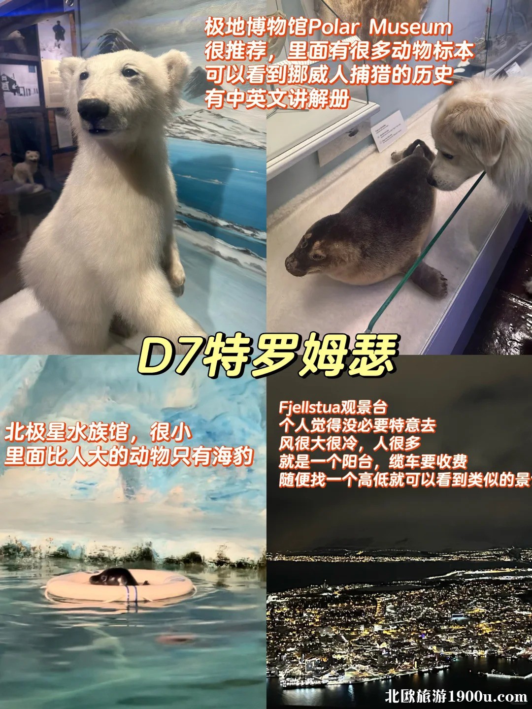北欧4国旅游攻略🧊一个人带猫狗去北极_9_.jpg