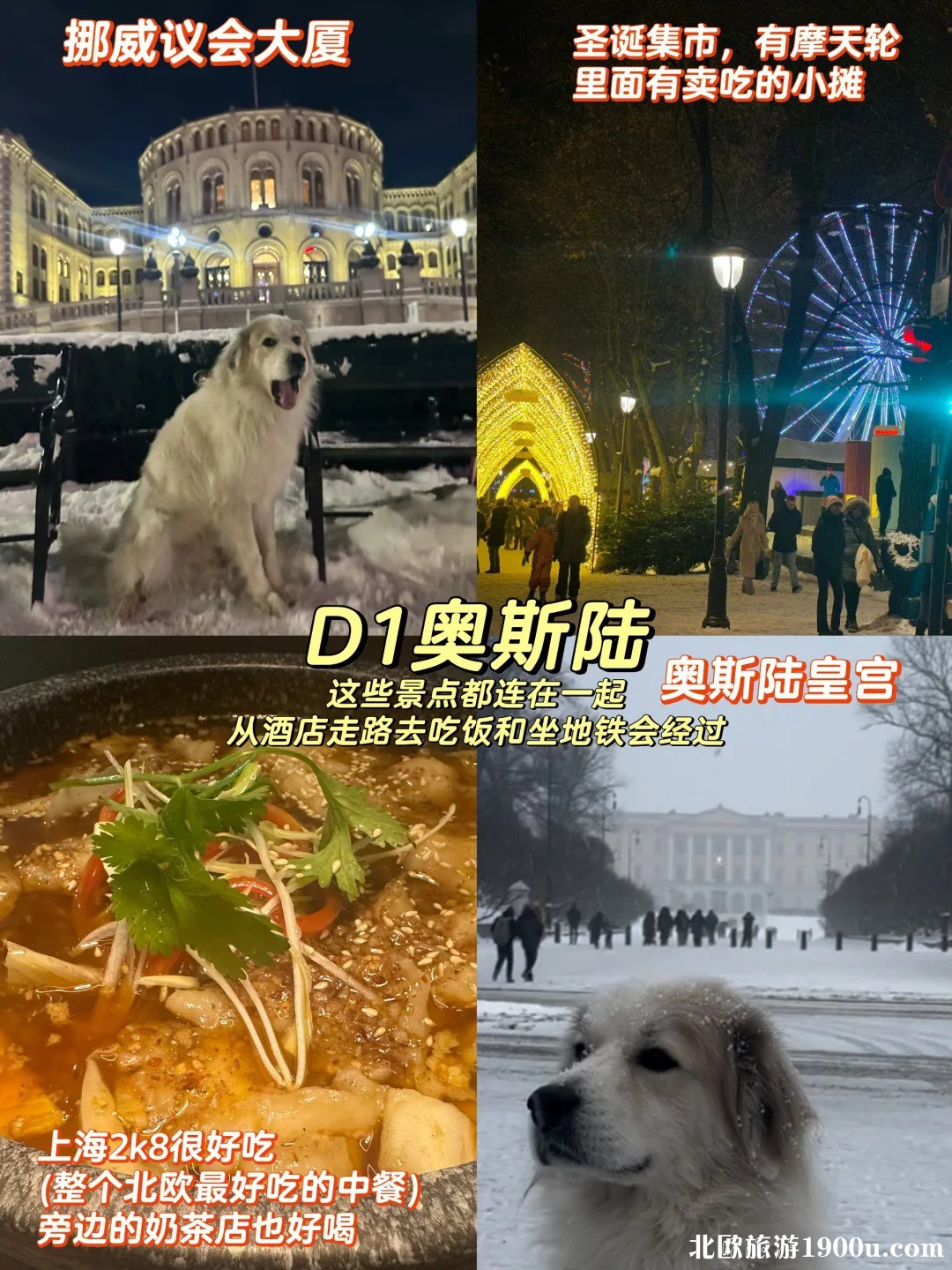 北欧4国旅游攻略🧊一个人带猫狗去北极_4_.jpg