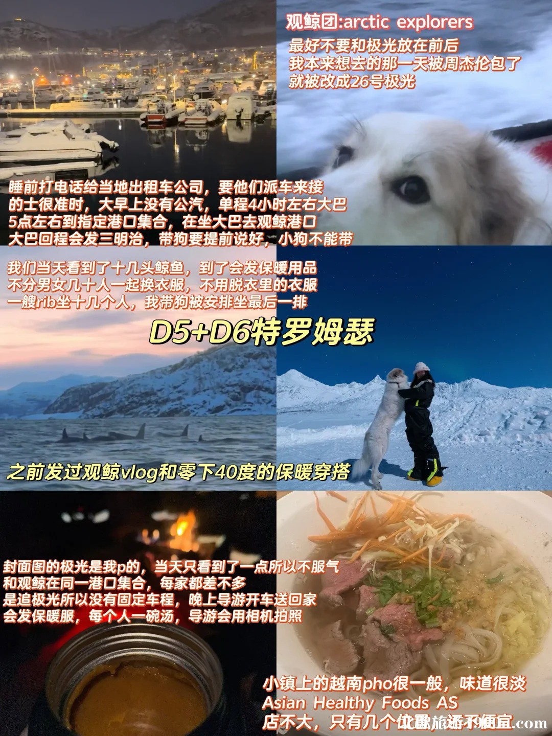 北欧4国旅游攻略🧊一个人带猫狗去北极_8_.jpg