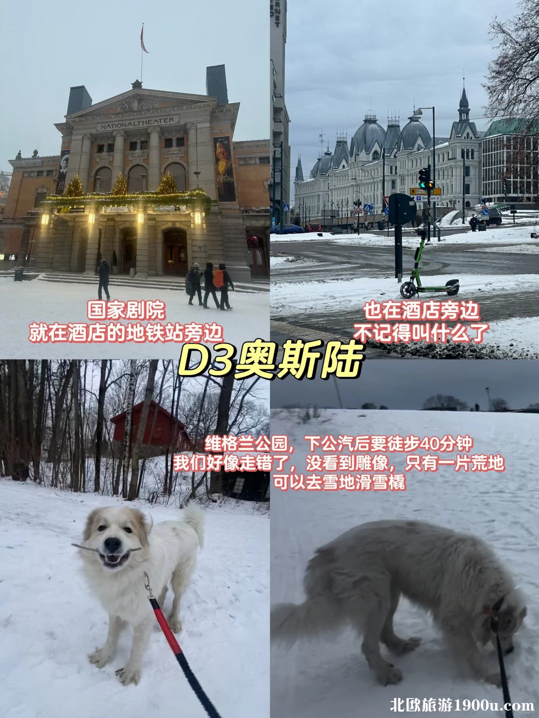 北欧4国旅游攻略🧊一个人带猫狗去北极_6_.jpg
