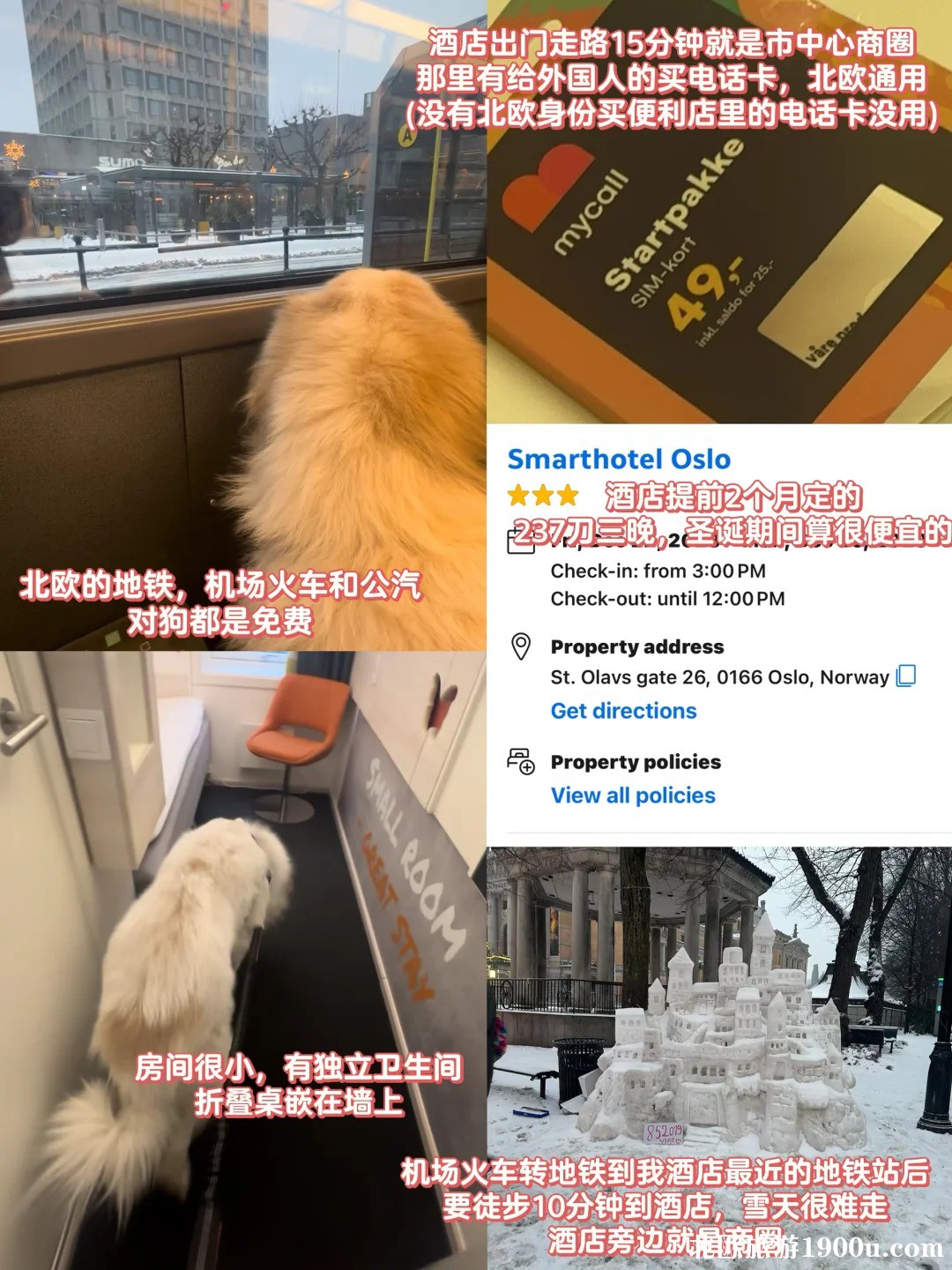 北欧4国旅游攻略🧊一个人带猫狗去北极_3_.jpg