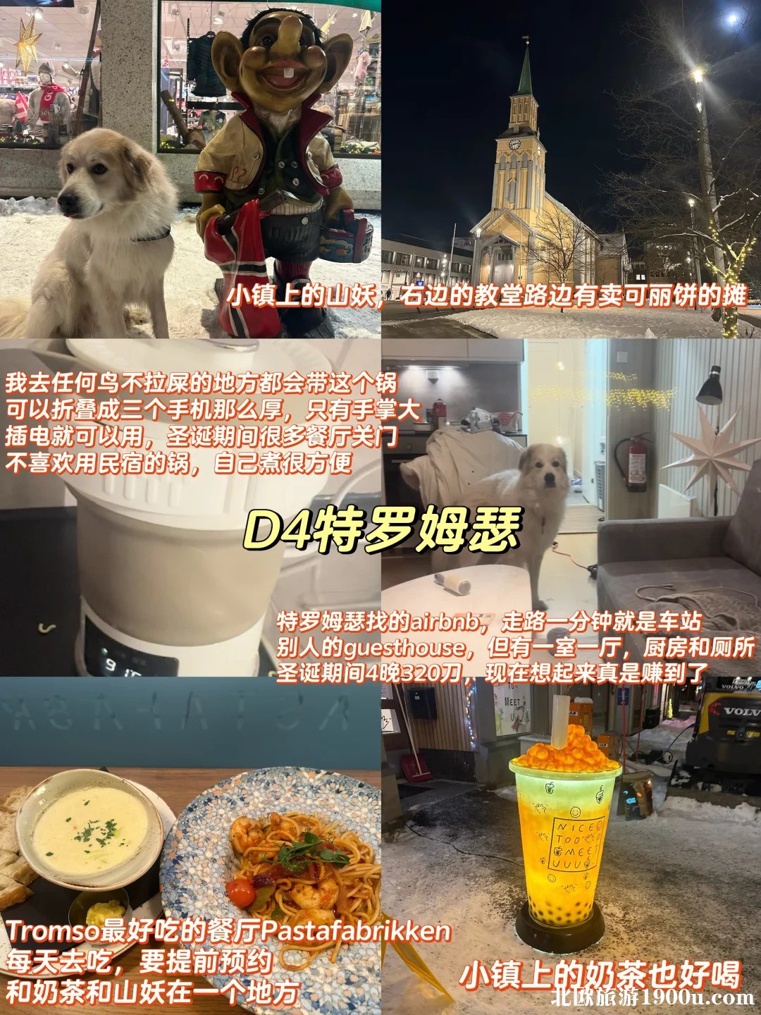 北欧4国旅游攻略🧊一个人带猫狗去北极_7_.jpg