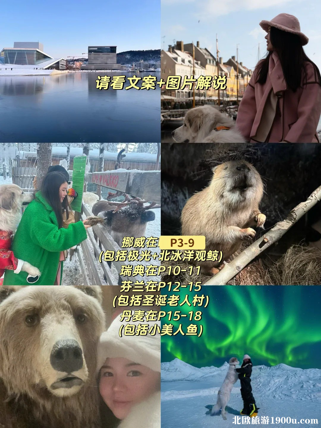 北欧4国旅游攻略🧊一个人带猫狗去北极_2_.jpg