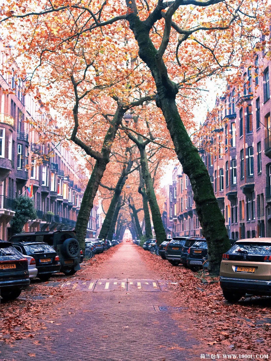 如果你也秋天來到阿姆斯特丹2.jpg