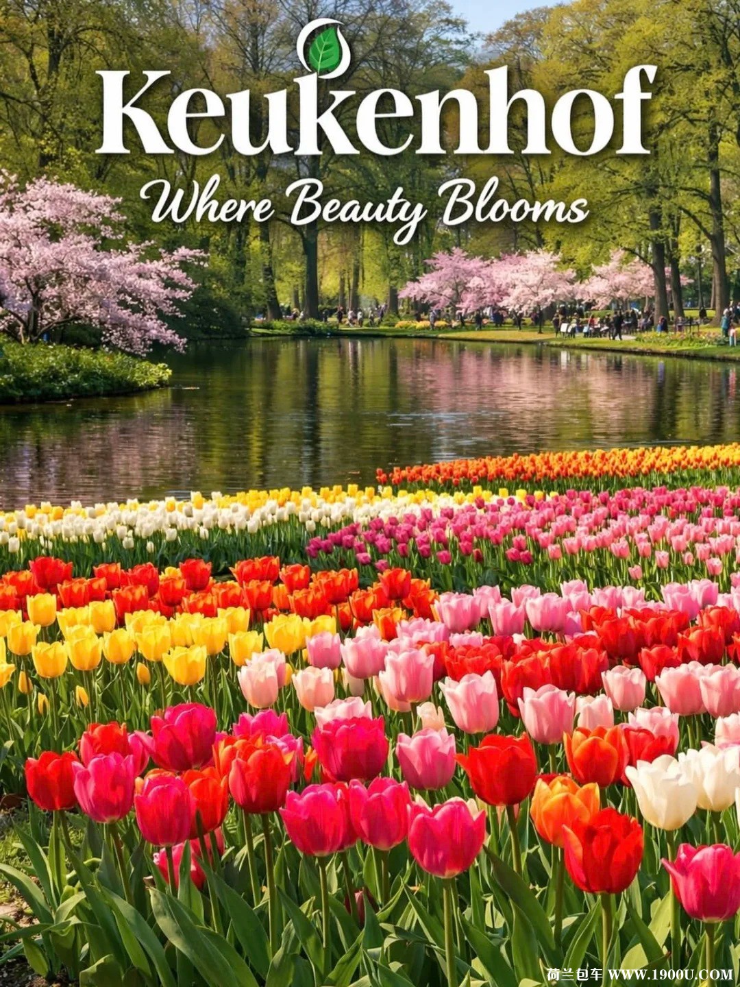 🌷2026荷兰库肯霍夫｜郁金香花海封神攻略！_2_.jpg