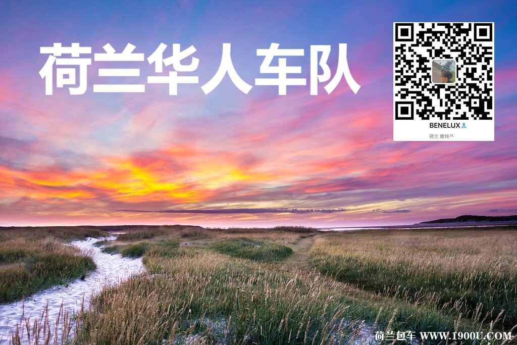 荷兰包车3.jpg